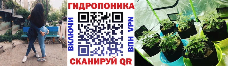 Бошки Шишки SATIVA & INDICA Купить Омутнинск